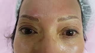 Mature Oily skin Eyebrows Microblading by El Truchan @ Perfect Definition