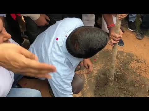 Delhi CM Arvind Kejriwal Launches the Mega Tree Plantation Drive Van Mahotsav
