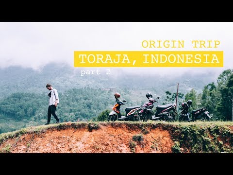 Exploring COFFEE in Toraja, Indonesia