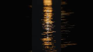 - 晩餐歌/tuki. covered by コニー #晩餐歌 #歌ってみた #fyp #shorts