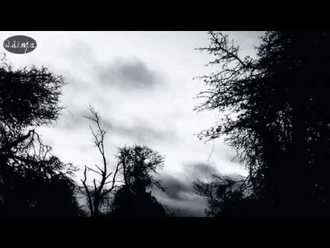 Aaskereia - Als der Blick erlosch (lyrics)