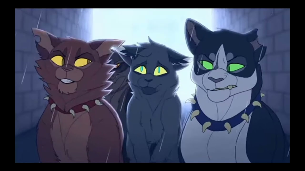 Warrior cats scourge life MAP (hell's comin' with me poor man's poison)