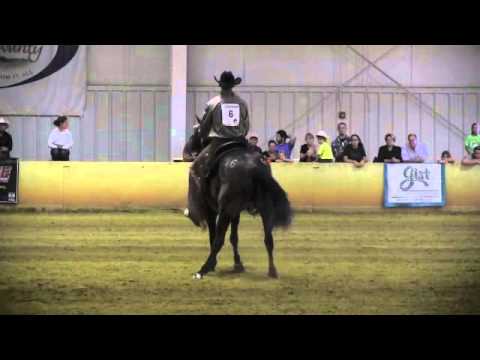 2013 New Jersey Extreme Mustang Makeover Freestyle Finals