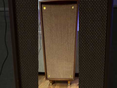 1971 Hokutone 8" Speaker in 1961 Watterson Mid-Century Guitar Cabinet – 8Ω image 4