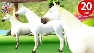 เพลงม้าวิ่งกรับกรับ |เพลงช้าง เต่า เป็ด เพลงเด็กอนุบาล 15 นาที By KidsMeSong