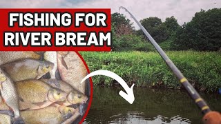 FEEDER FISHING FOR RIVER BREAM