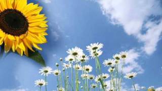 My Legs Are Weak *Paloma Faith ¬KrystalDiVerso