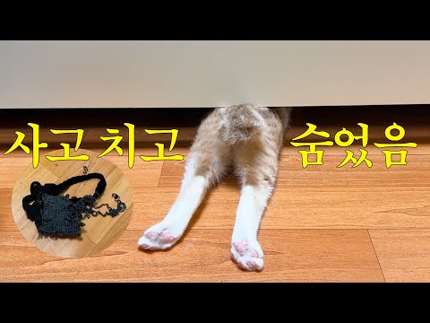 할미집에 얹혀 사는 중인데 쫓겨나게 생겼다