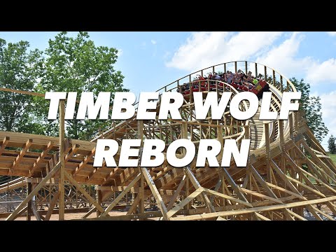 Timber Wolf short video by Worlds of Fun