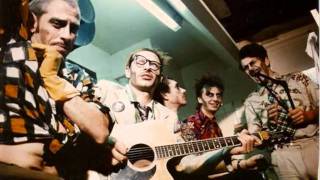 Les VRP - Skinhead aux cheveux long