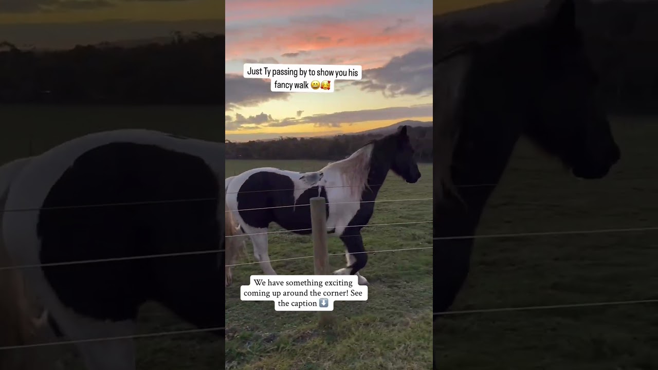 Our BIGGEST Announcement Yet!💫 Read the description below for more information⬇️