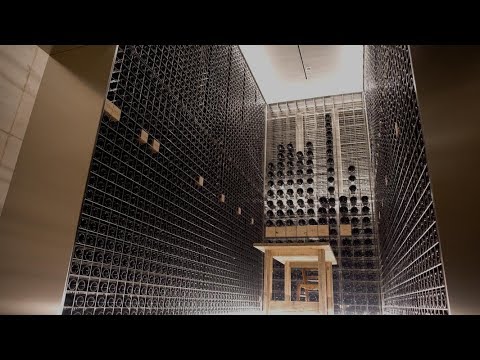 Masseto | Italian Wine Producers | Cult Wines