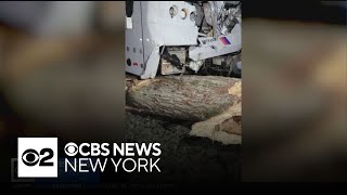 Pictures show aftermath of NJ Transit train crashing into tree