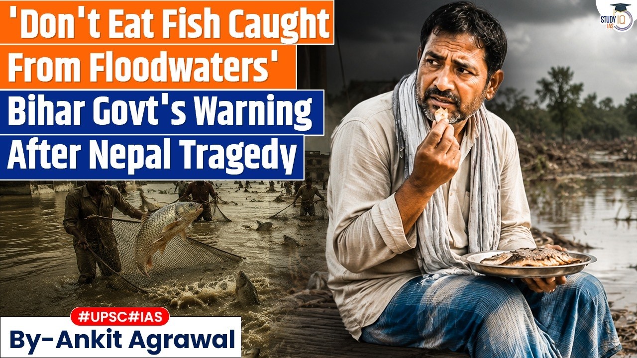 'Don't Eat Fish': Bihar On Alert After Nepal Tragedy | Ankit Agrawal Study IQ