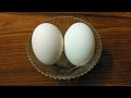 Have You Ever Tried Omelette Like This !!! | Easy Recipes | Egg recipes | #shorts | #short