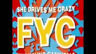 Fine Young Cannibals - She Drives Me Crazy (RM Remix)