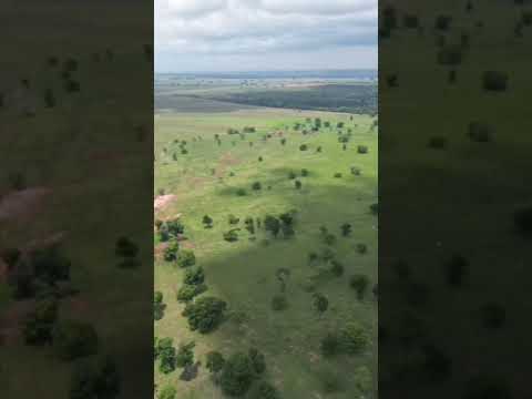 Faz.2.166 hectares valor 55 milhães no Tocantins Mun.de Colinas documentação boa zap.91982165639