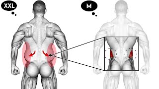 Tiny Waist Workout ➡ Burn Belly Fat Fast!