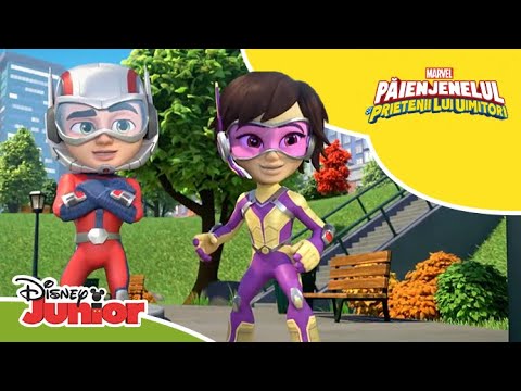 🦋 O soluție mititică | Păienjenelul Marvel și prietenii lui uimitori | Disney Junior România