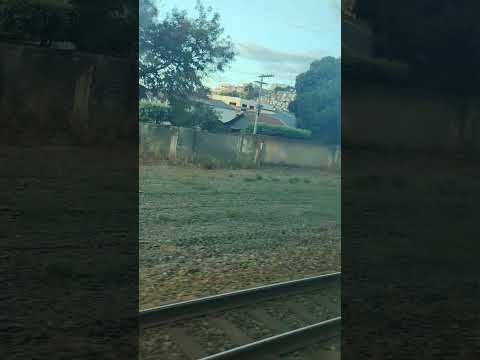 Chegando a #Baixo-guandu