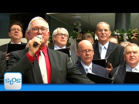 Nieuwjaarsreceptie gemeente Steenbergen - SLOS