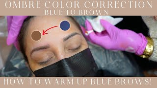 How to color correct blue eyebrows