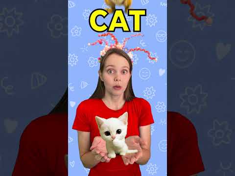 Fun Rhyming Words for Kids | Learn English for Kids