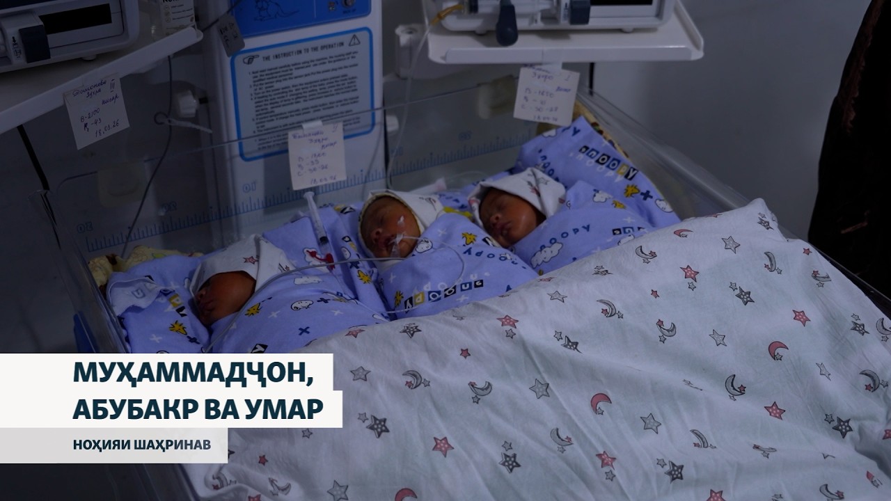 Сегоникҳоро Муҳаммадҷон, Абубакр ва Умар ном гузоштаанд