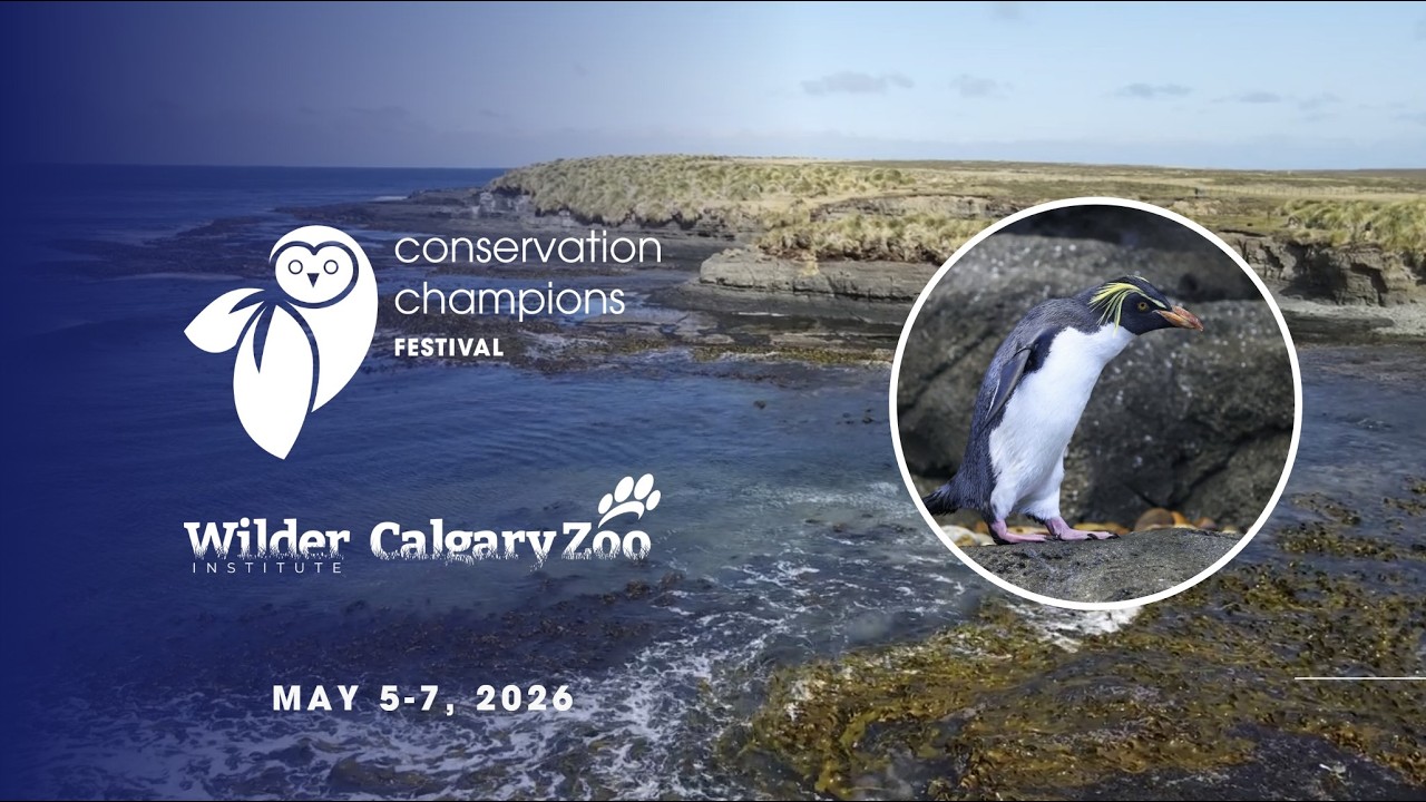 Banting and Best School - Grade 3 (Al Baldawi & Proctor)