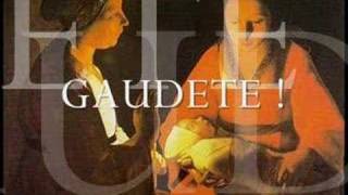 Gaudete