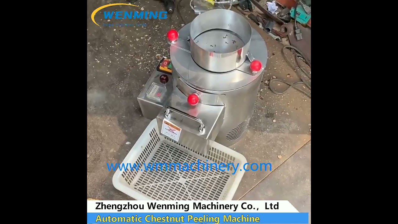 Automatic Chestnut Peeling Machine  Raw Chestnut Peeling Machine  Chestnut Skin Removing Machine