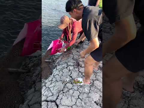 وليمة مفاجئة في البركة 😨