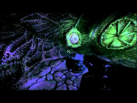 Duke Nukem Forever: Walkthrough - Chapter 8 [The Hive] Part 2 (HD)