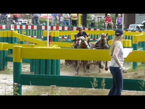 03 Widmer, Bruno, SUI, Riesenbeck 2013, Marathon Pairs of horses, O 7