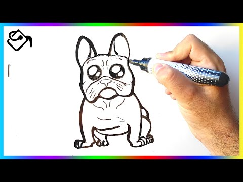 Comment dessiner un BOULEDOGUE français, Dessin BOULEDOGUE français FACILE
