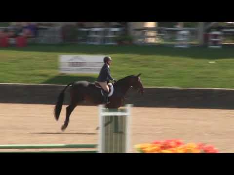Video of Quito ridden by Brenda Tananbaum from ShowNet!