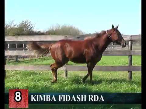 Lote 08- KIMBA FIDASH RDA -- RINCON DEL AGUARA – LOS MONTEROS - 2017