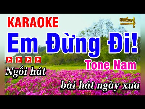Karaoke Em Đừng Đi Nhạc Hoa Lời Việt Tone Nam Beat Hay Dễ Hát | Karaoke Phi Long