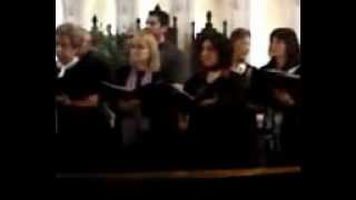 Coral Emaus Blue Bird Stanford