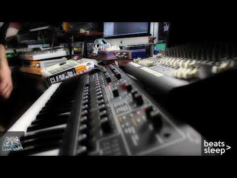 A Chameleon Session: MoreBeatsLessSleep flip challenge MPC2000xl SP404sx DSI Prophet8 Roland System8