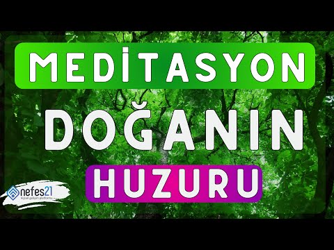 Meditasyon doğanın huzuru