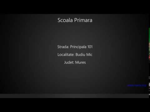Scoala Primara Budiu Mic