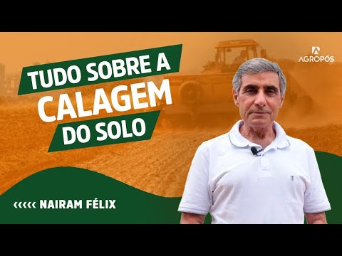 Descubra Tudo Sobre a Calagem do Solo