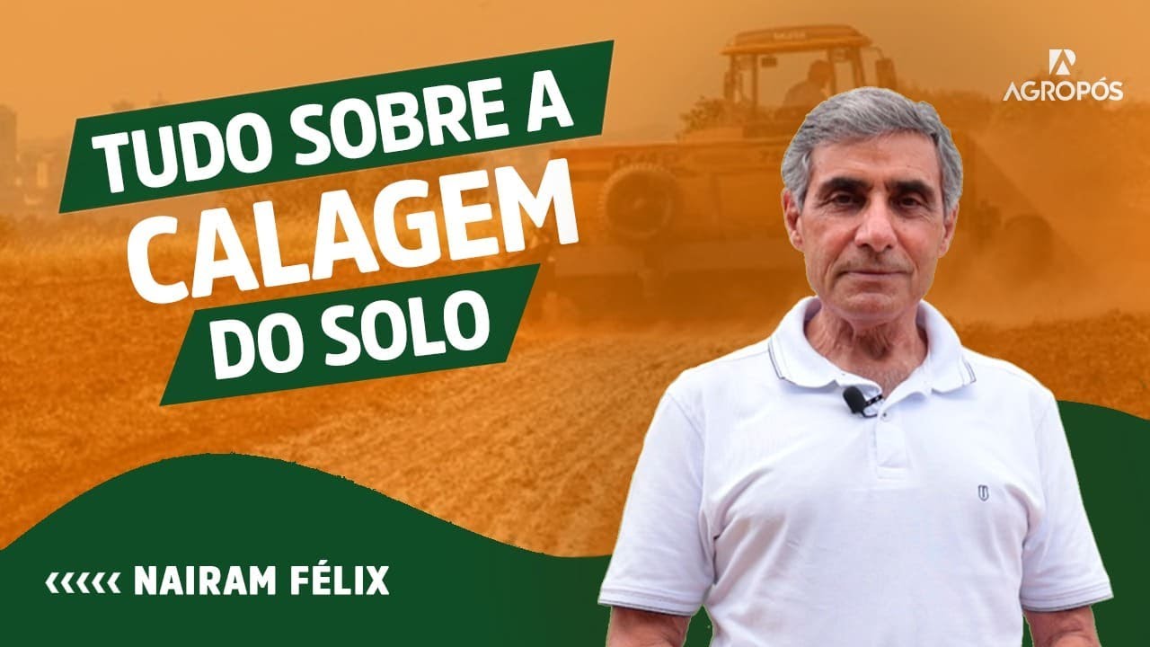 Descubra Tudo Sobre a Calagem do Solo