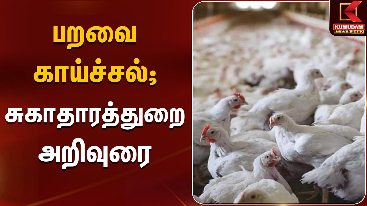 பறவை காய்ச்சல்; சுகாதாரத்துறை அறிவுரை | Birds Flu | Kumudam News
