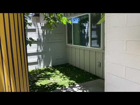 Palm Lane - Video 2 of 2
