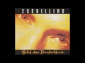 Peter Schilling &ndash; &ldquo;Bild Der Dunkelheit&rdquo; (instrumental) (Germany WEA) 1992