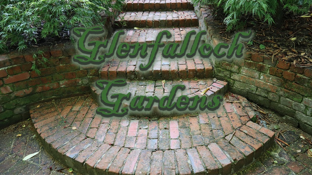 Embark on a peaceful walk around Glenfalloch Woodland Garden