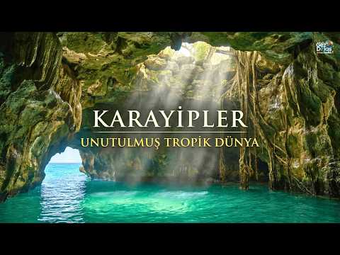 Die Karibik: Eine vergessene Welt 10.000 km entfernt4K-Dokumentation