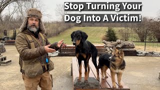 Stop Turning Dogs Into Victims